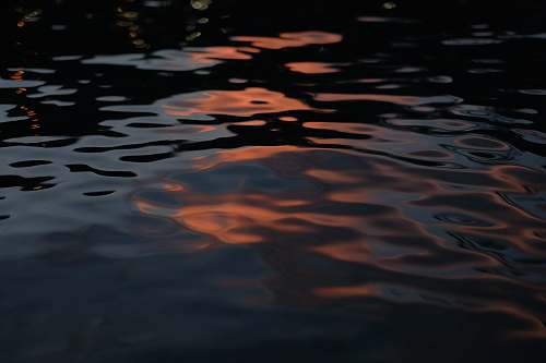 water still water knoxville